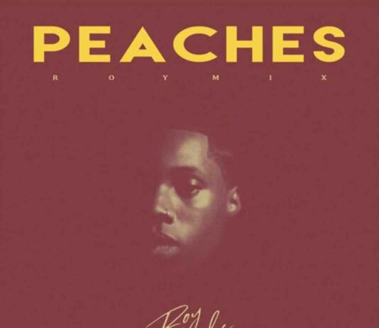 Peaches (RoyMix) - Roy Woods 