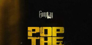Pop Da Lock - Gunplay & ANML SHLTR