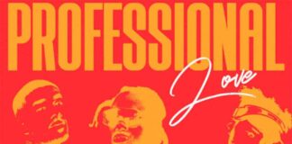 Professional Love - WSTRN