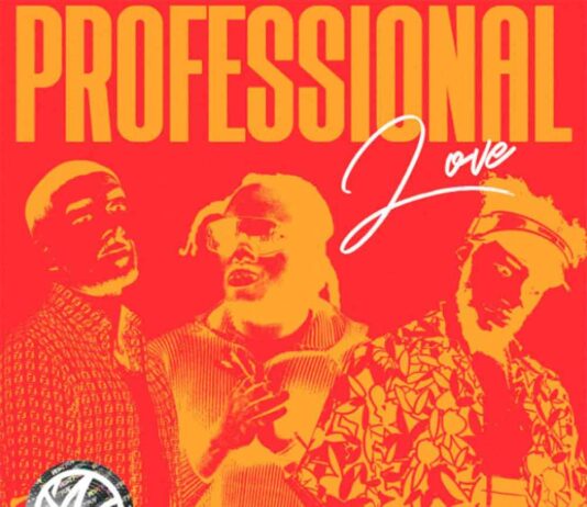 Professional Love - WSTRN