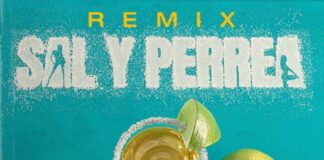 Sal y Perrea Remix - Sech, Daddy Yankee, J Balvin