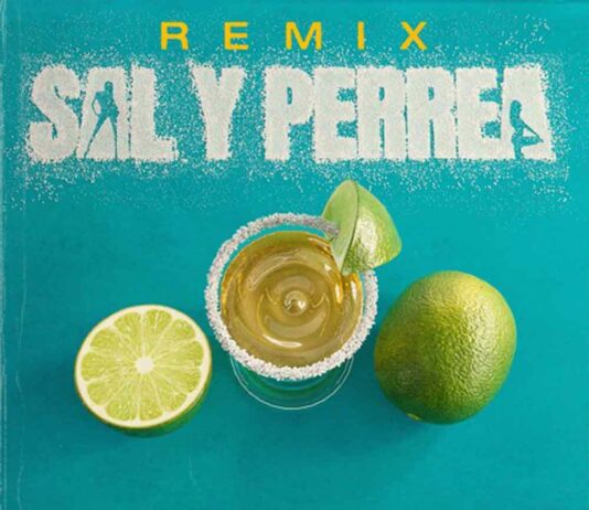 Sal y Perrea Remix - Sech, Daddy Yankee, J Balvin