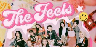 The Feels - Twice