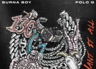 Want It All - Burna Boy feat. Polo G