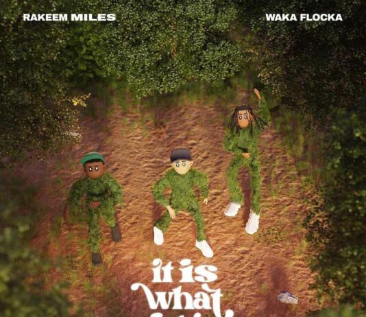 It Is What It Is - Rakeem Miles Feat. Waka Flocka & Chad Hugo