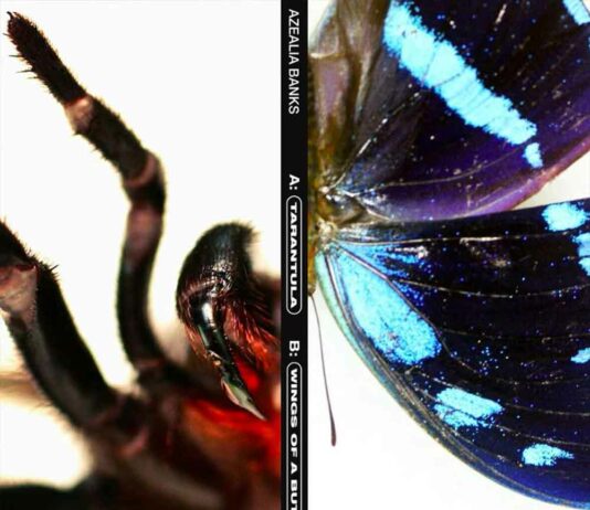 Tarantula - Azealia Banks,Wings Of A Butterfly - Azealia Banks