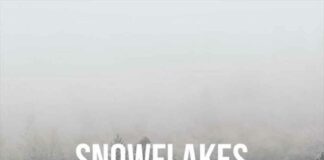 Snowflakes – BJ The Chicago Kid Feat. Susan Carol Snowflakes - BJ The Chicago Kid Feat. Susan Carol