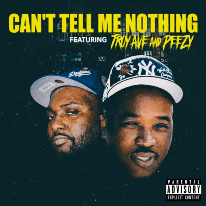 Can't Tell Me Nothing - Troy Ave & Peezy