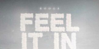 Feel It In The Air - Rooga