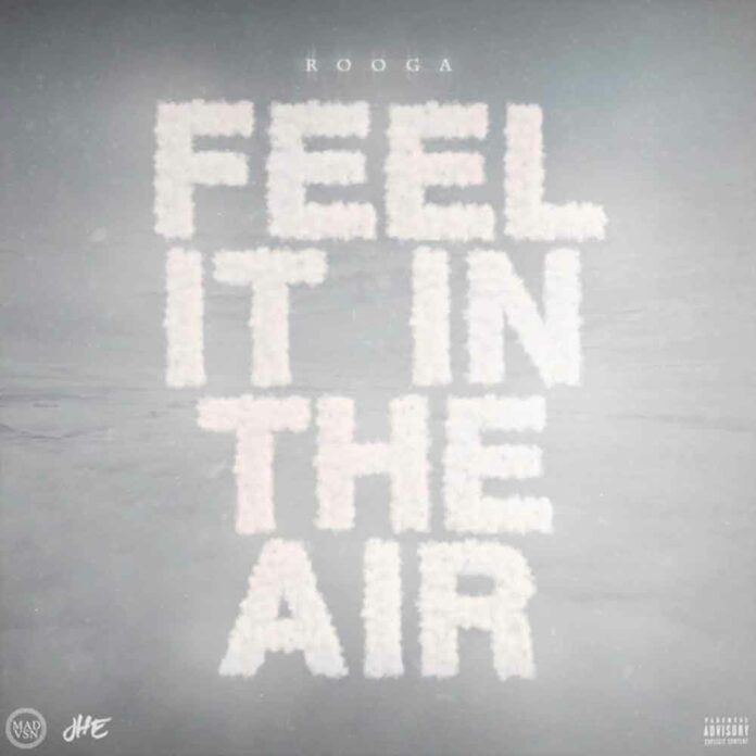 Feel It In The Air - Rooga