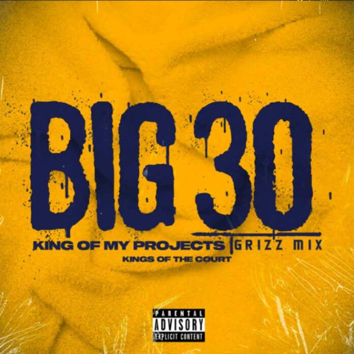 King Of The Projects (GrizzMix) - BIG30
