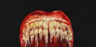 Skin & Bones - 070 Shake