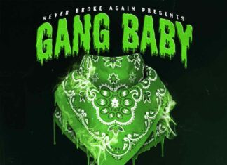 Gang Baby - YoungBoy Never Broke Again Feat. Rojay MLP, Rjae & P Yungin