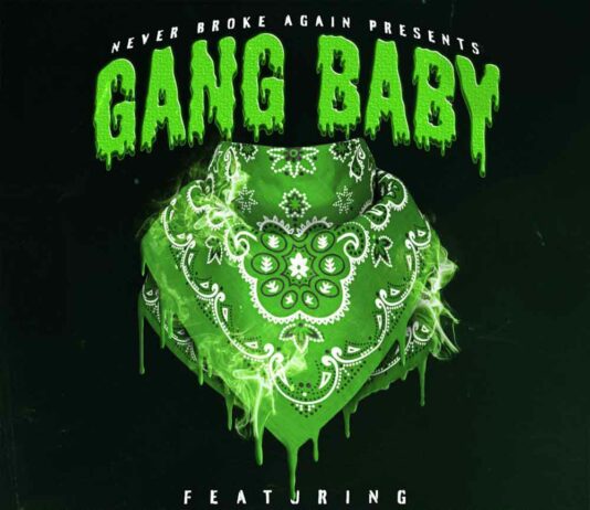 Gang Baby - YoungBoy Never Broke Again Feat. Rojay MLP, Rjae & P Yungin