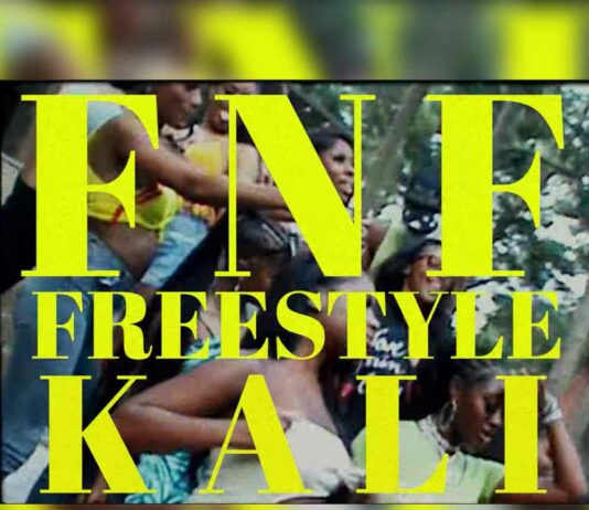FNF Freestyle - Kali