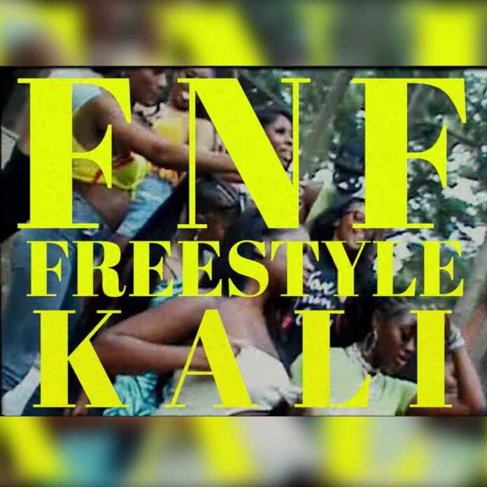 FNF Freestyle - Kali