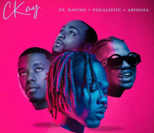 WATAWI - CKay feat. Davido, Focalistic & Abidoza