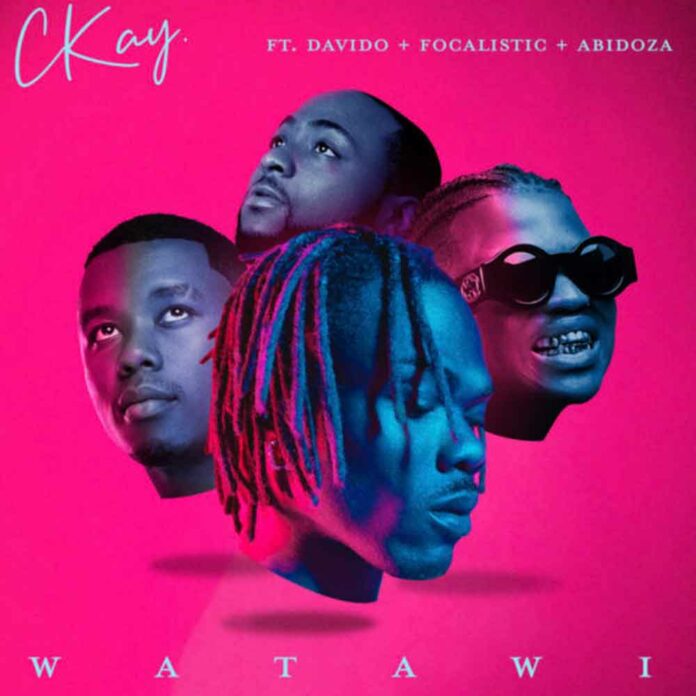 WATAWI - CKay feat. Davido, Focalistic & Abidoza