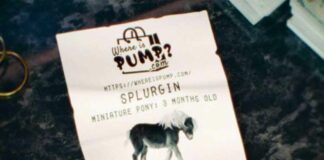Splurgin - Lil Pump