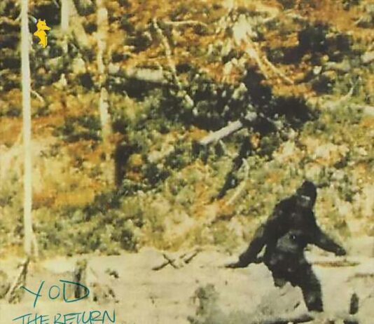 The Return Of Sasquatch - Your Old Droog Produced by Madlib