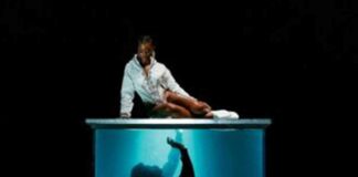 Hoodie - Ari Lennox