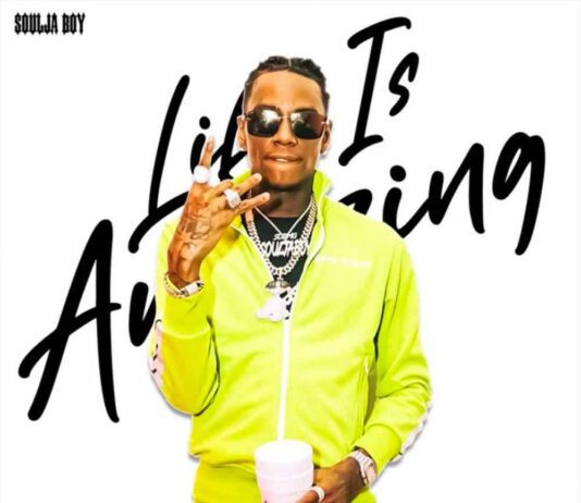 Understanding Soulja Boy's Net Worth: A Deep Dive into the Life and Earnings of the Multifaceted Artist, Life Is Amazing - Soulja Boy