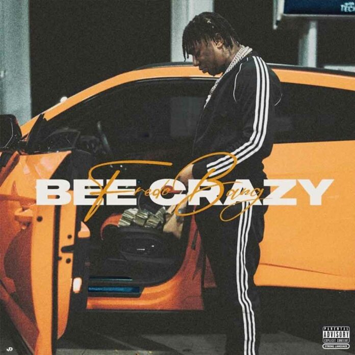 Bee Crazy - Fredo Bang