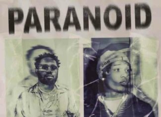 Paranoid - Kranium feat. B-Lovee