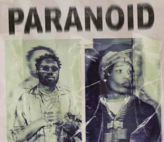 Paranoid - Kranium feat. B-Lovee