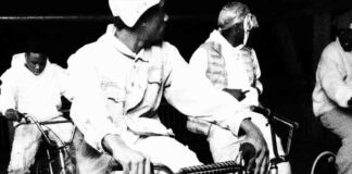 Fam Without Blood - Skiifall