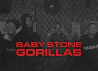 Block Benders - Baby Stone Gorillas
