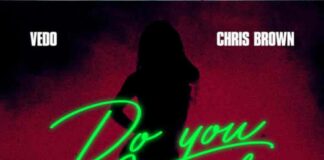 Do You Mind - Vedo Chris Brown