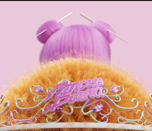 Princess Diana (Remix) – Ice Spice, Nicki Minaj Princess Diana - Ice Spice, Nicki Minaj