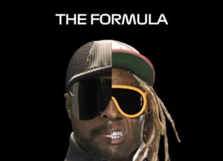 THE FORMULA - Will.I.Am, Lil Wayne