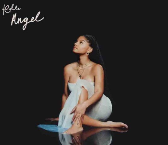 Angel - Halle