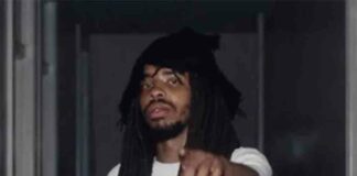 Sentry - Earl Sweatshirt, The Alchemist feat. MIKE