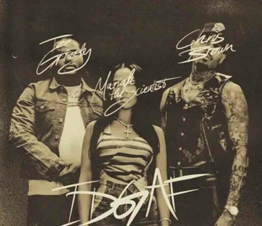 IDGAF – Tee Grizzley feat. Chris Brown & Mariah The Scientist IDGAF - Tee Grizzley feat. Chris Brown & Mariah The Scientist