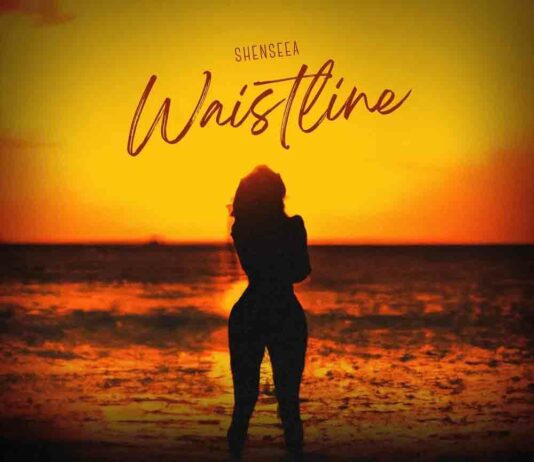 Waistline - Shenseea