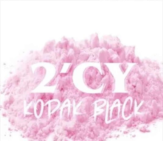 2'CY - Kodak Black
