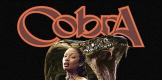 Cobra - Megan Thee Stallion