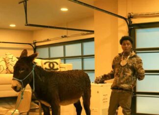 Act A Donkey (Charlamagne Diss) - NBA YoungBoy