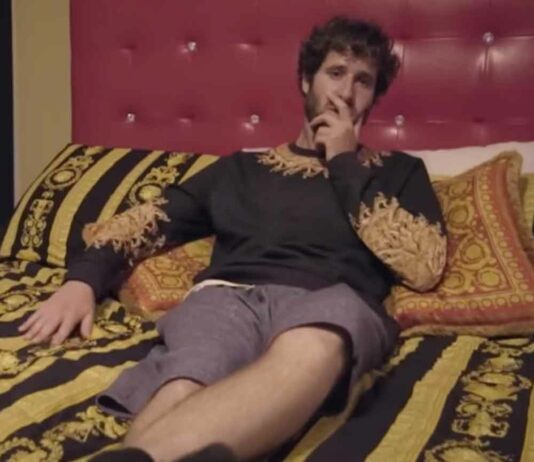Understanding Lil Dicky's Rise in Wealth and Fame: Lil Dicky's Net Worth