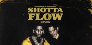 Shotta Flow 7 Remix - NLE Choppa feat. @LilMabu