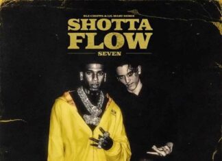 Shotta Flow 7 Remix - NLE Choppa feat. @LilMabu