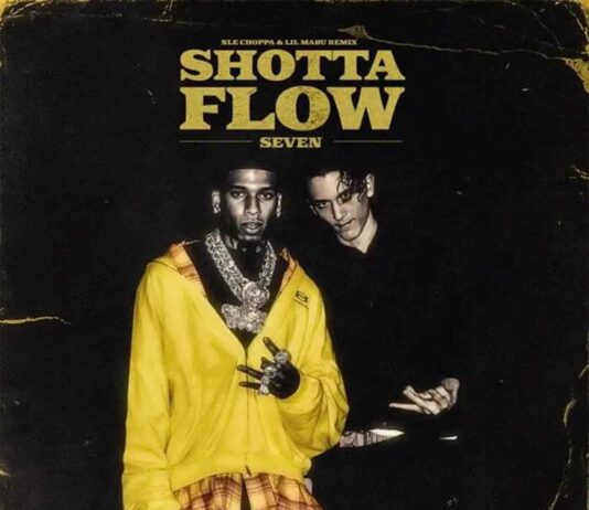 Shotta Flow 7 Remix - NLE Choppa feat. @LilMabu