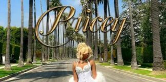 Pricey - BlakeIANA ft. MoneyBagg Yo
