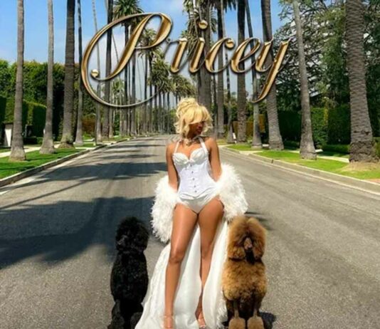 Pricey – BlakeIANA ft. MoneyBagg Yo Pricey - BlakeIANA ft. MoneyBagg Yo