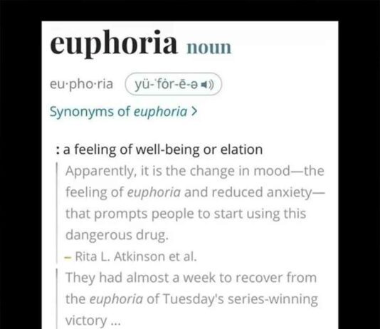 euphoria - Kendrick Lamar