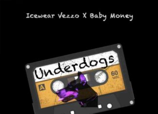 Underdogs (Hate It Or Love It) - Icewear Vezzo, Baby Money