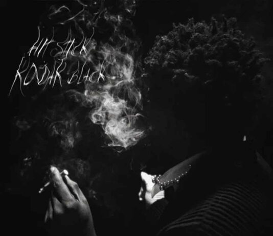 Hit Stick - Kodak Black